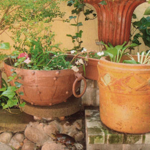 Landscaping — By Eric Gerdes, Architectural Designer