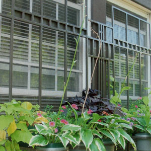 Eric Gerdes, Architectural Designer